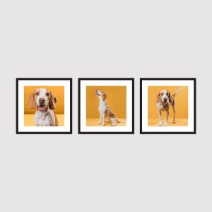 Set of 3 Custom Pet Photo Tile