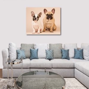 Custom Pet Canvas