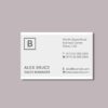 Simple Business Cards Design